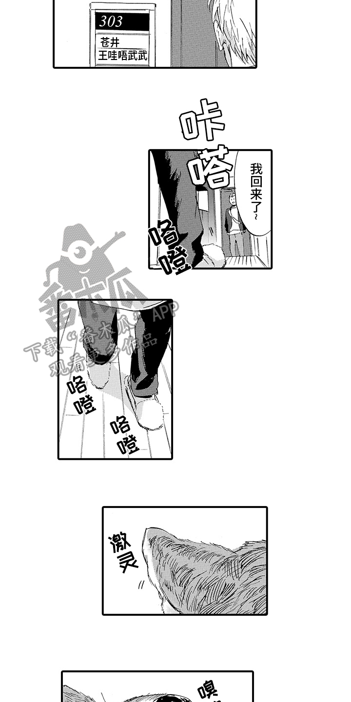 春野与狼独舞漫画,第4章：同居4图