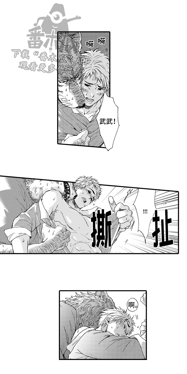 春野与狼独舞漫画,第7章：发作3图