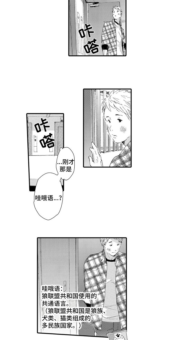春野与狼独舞漫画,第1章：疲惫4图