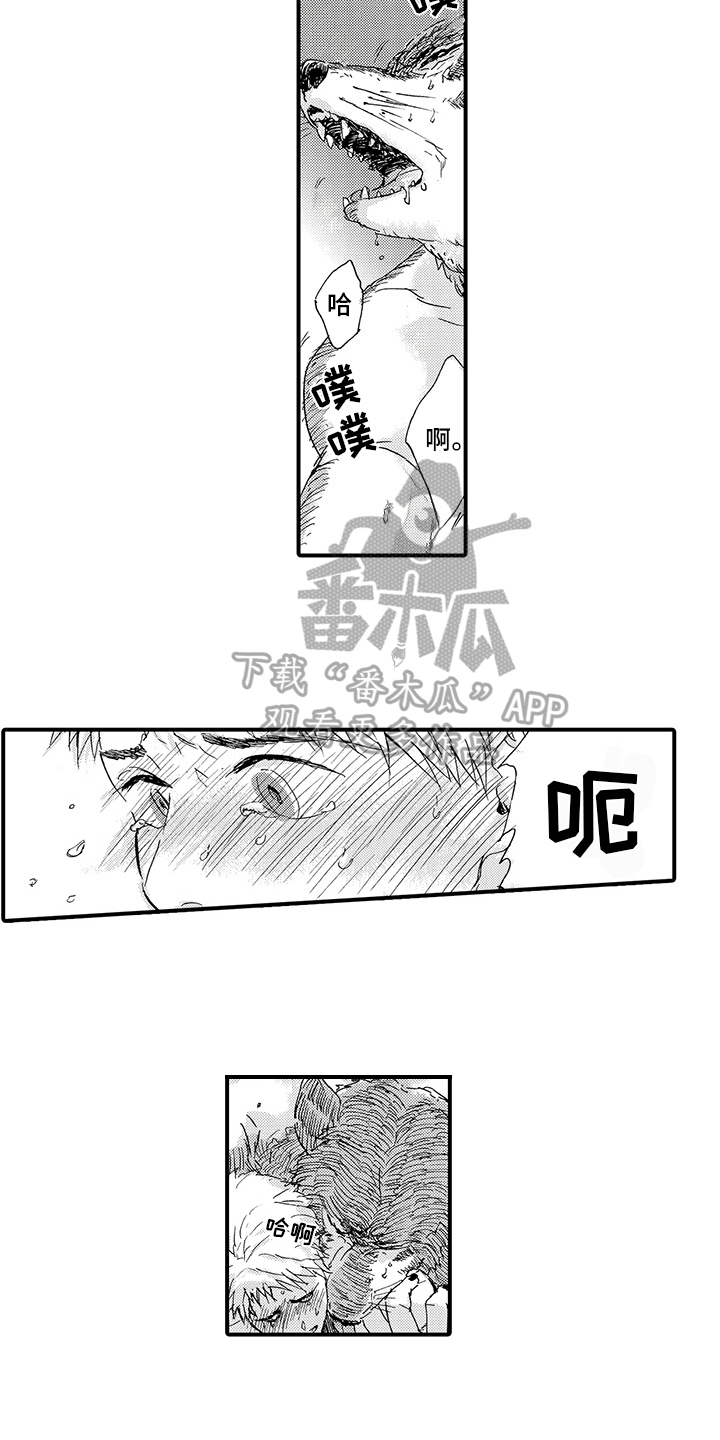 春野与狼独舞漫画,第8章：期待2图