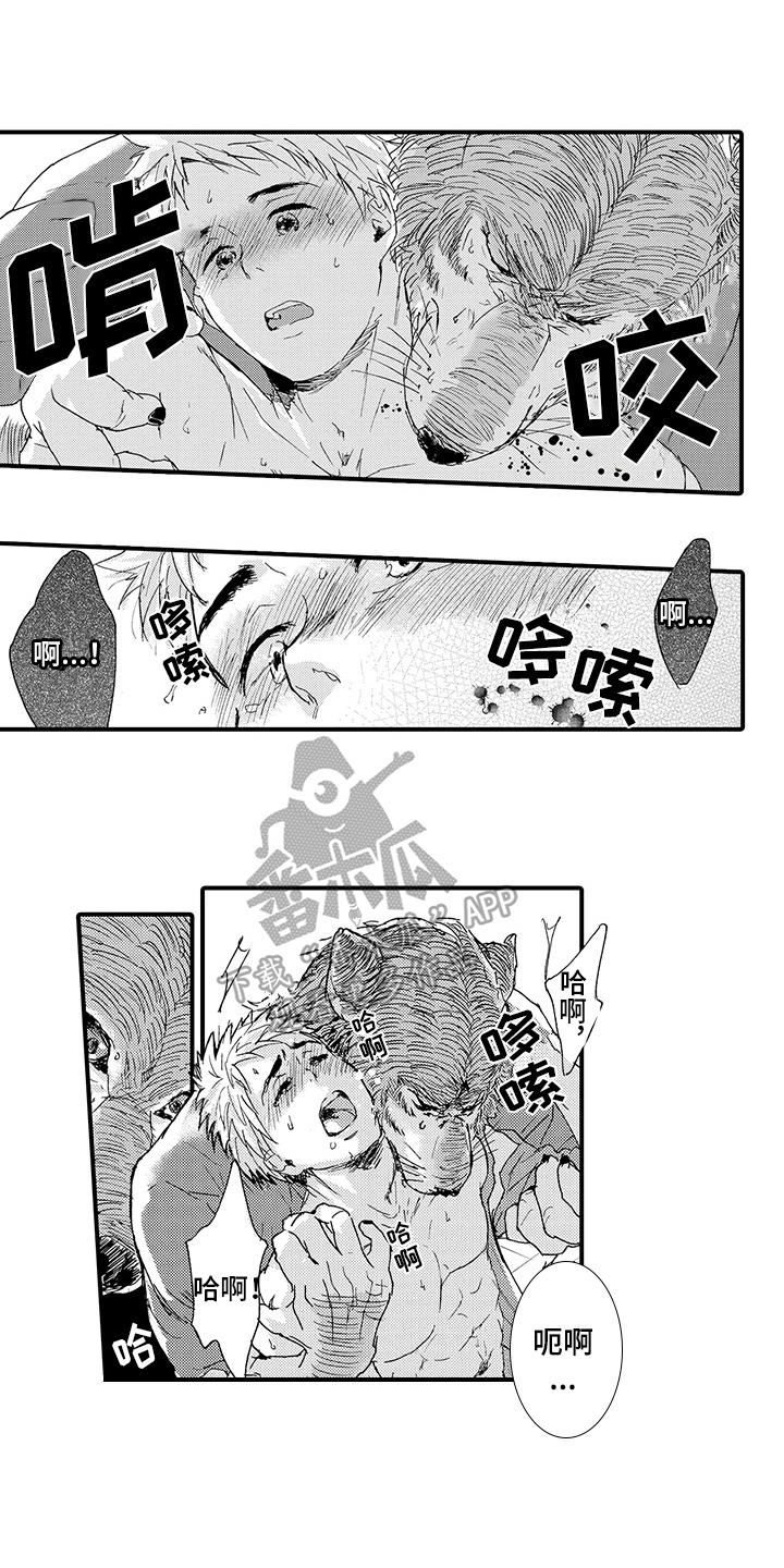 春野与狼独舞漫画,第7章：发作5图