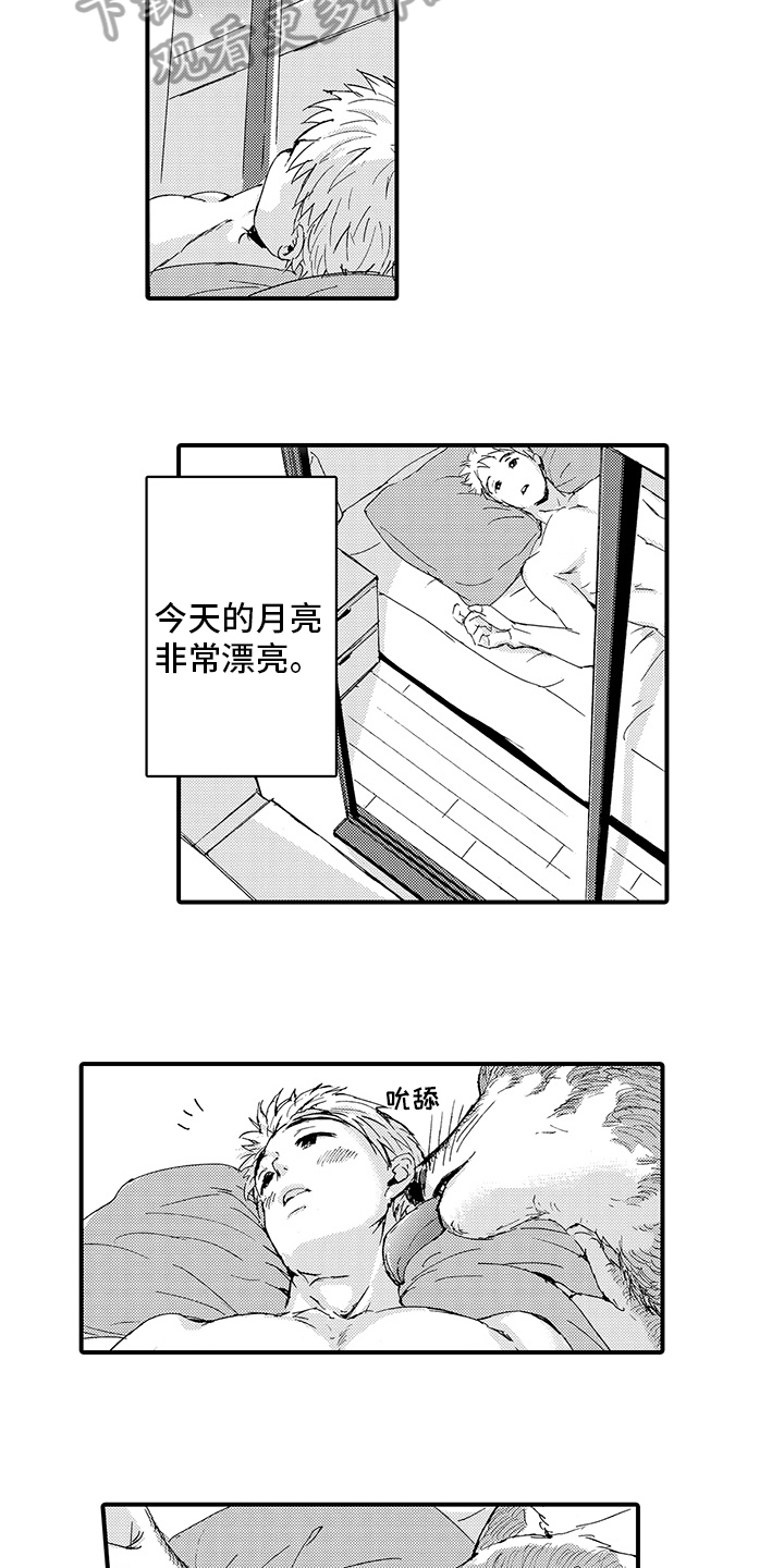 春野与狼独舞漫画,第10章：月圆美梦【完结】4图