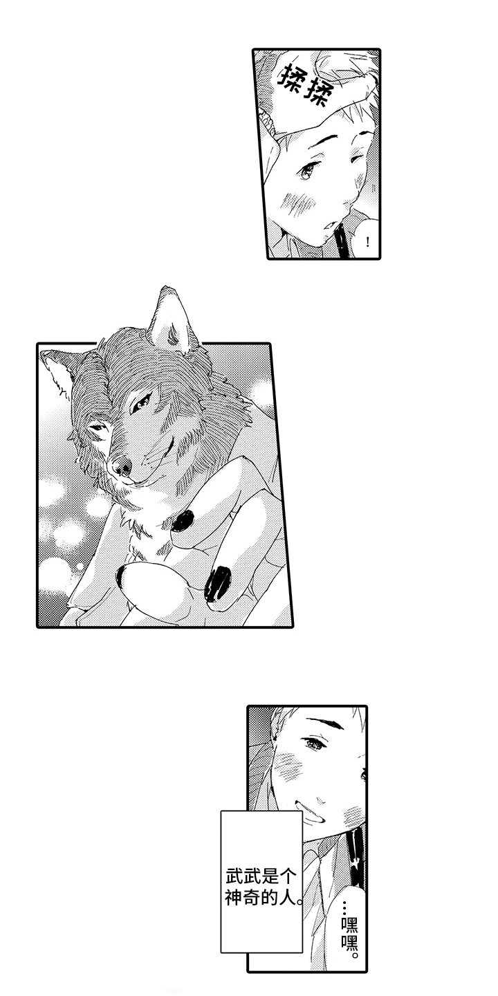 春野与狼独舞漫画,第3章：喜欢1图