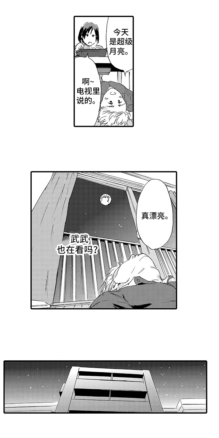 春野与狼独舞漫画,第6章：出事4图