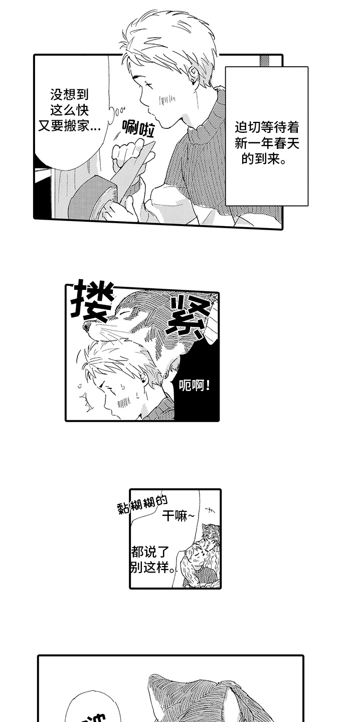 春野与狼独舞漫画,第3章：喜欢3图