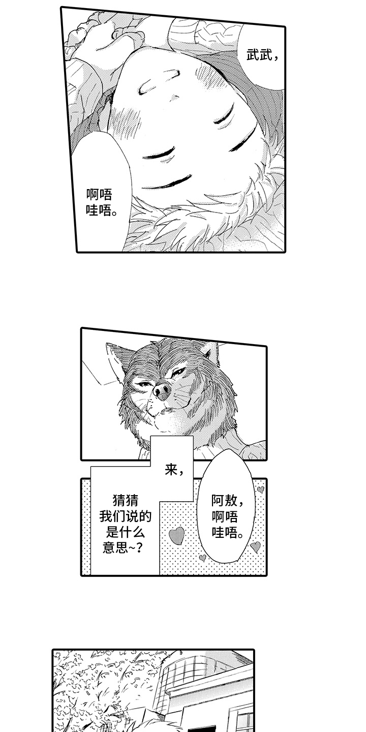 春野与狼独舞漫画,第3章：喜欢5图