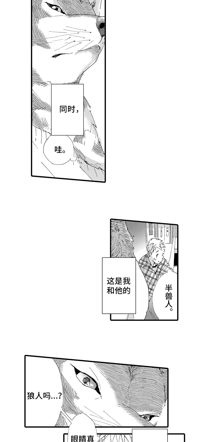 春野与狼独舞漫画,第1章：疲惫1图