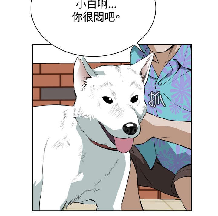 跟随漫画,第35章：天台（2）4图