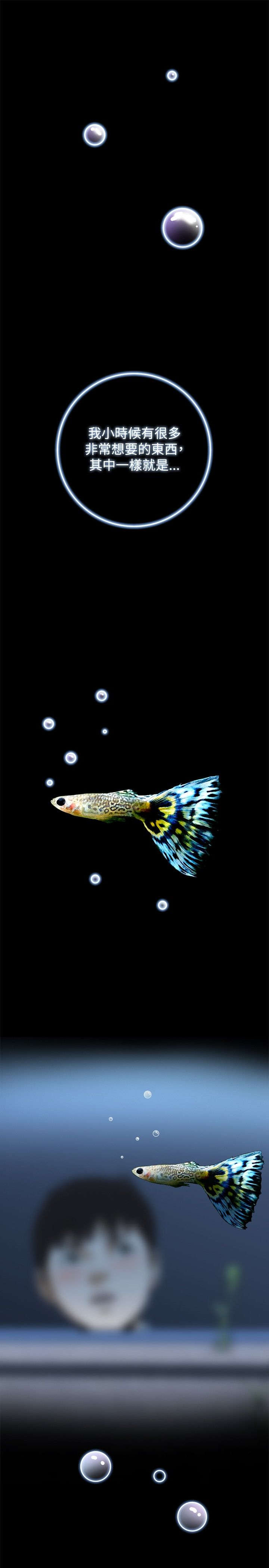 跟随漫画,第1章：每个人都有秘密1图