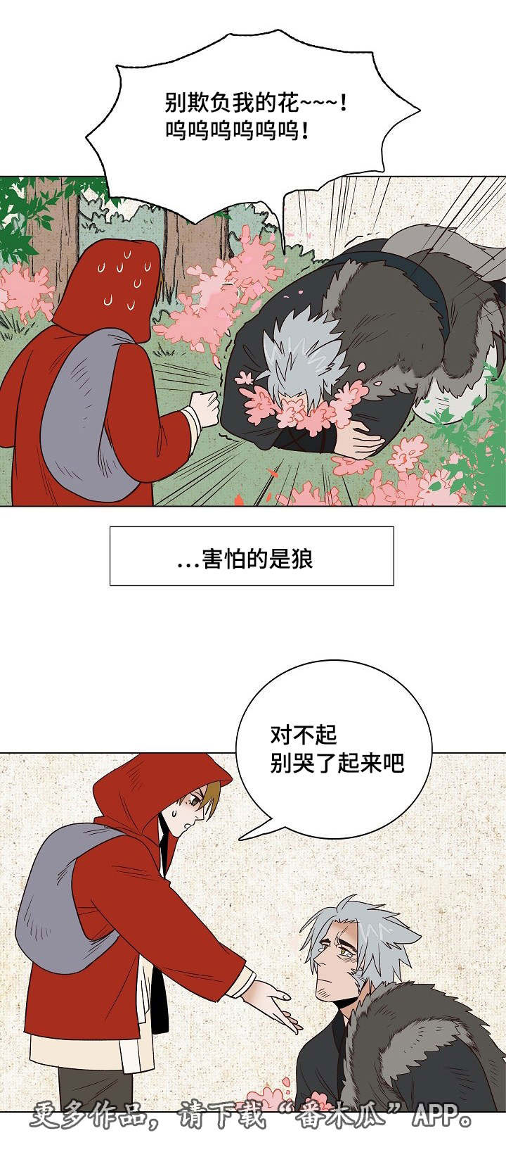 千古传说漫画,第22章：小红帽与狼3图