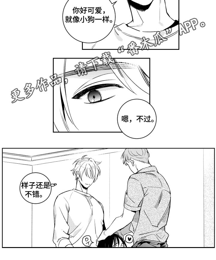 甜蜜社团漫画,第46章：没用的话5图