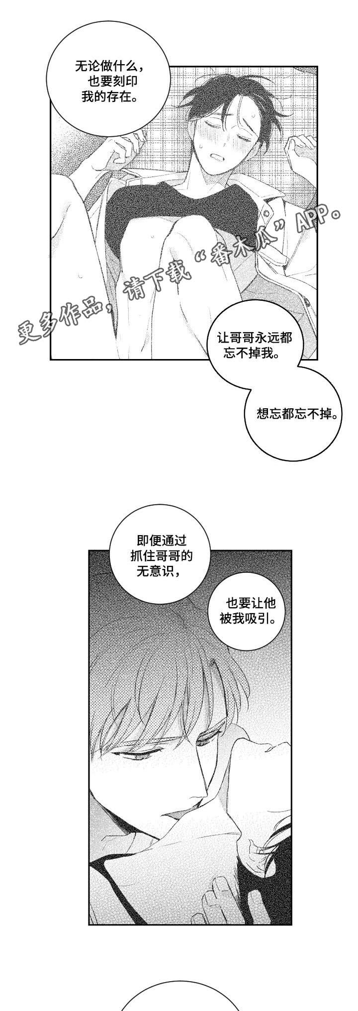甜蜜社团漫画,第102章：野猫1图