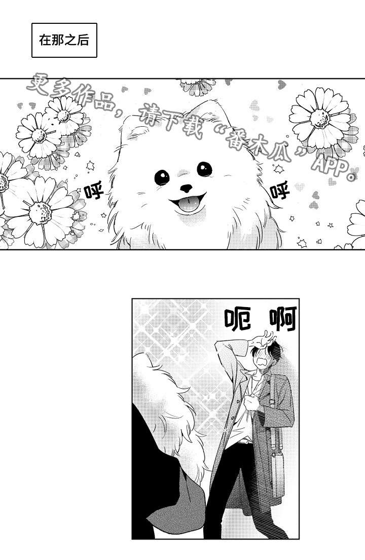 甜蜜社团漫画,第11章：撒谎1图