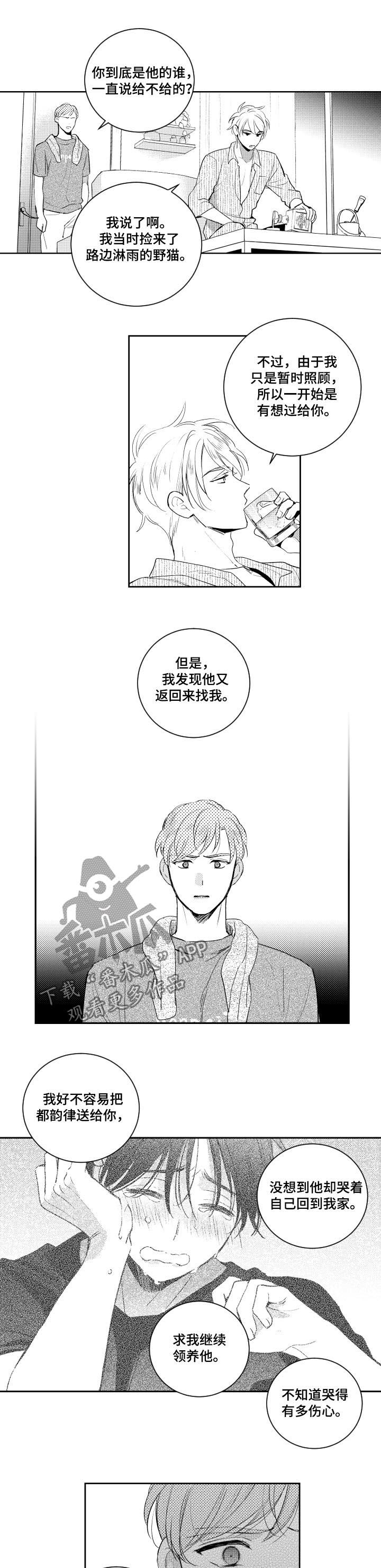 甜蜜社团漫画,第102章：野猫3图