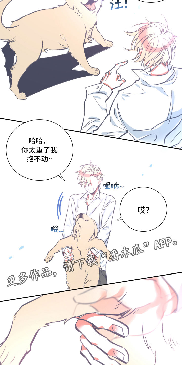 与你永眠漫画,第26章：体检2图