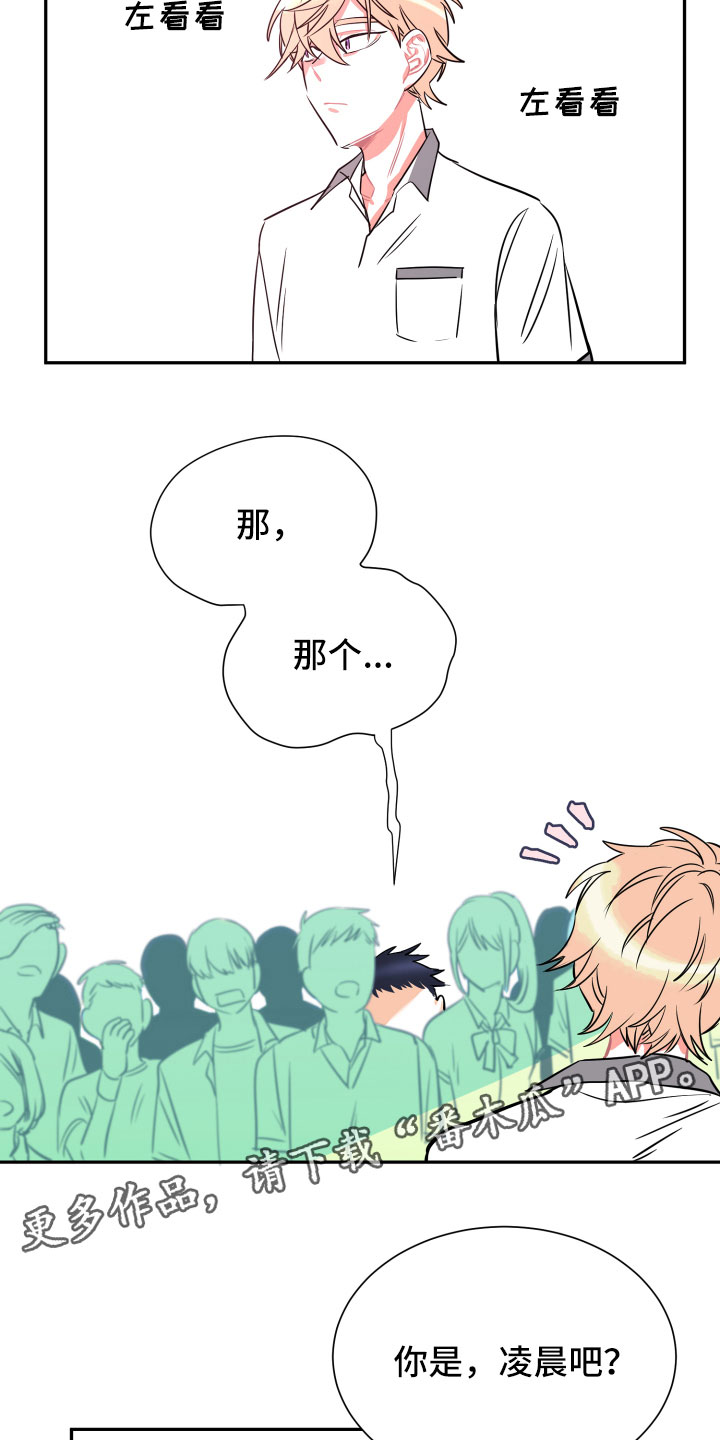 与你永眠漫画,第19章：无迹可寻4图