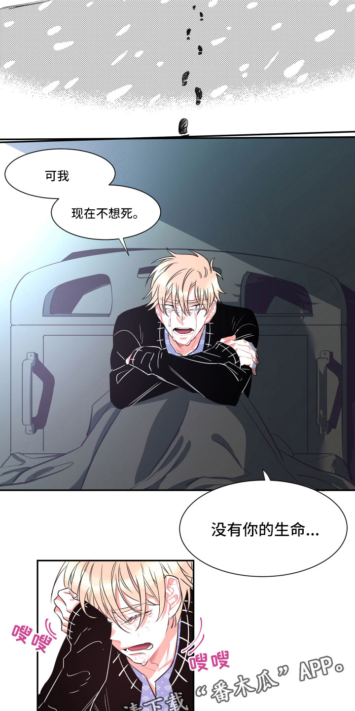 与你永眠漫画,第33章：真心2图