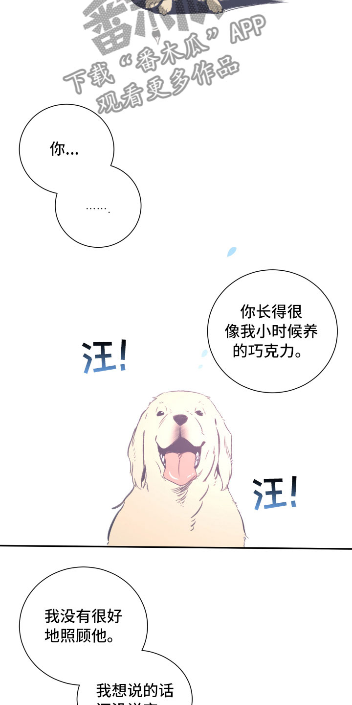 与你永眠漫画,第25章：重逢2图