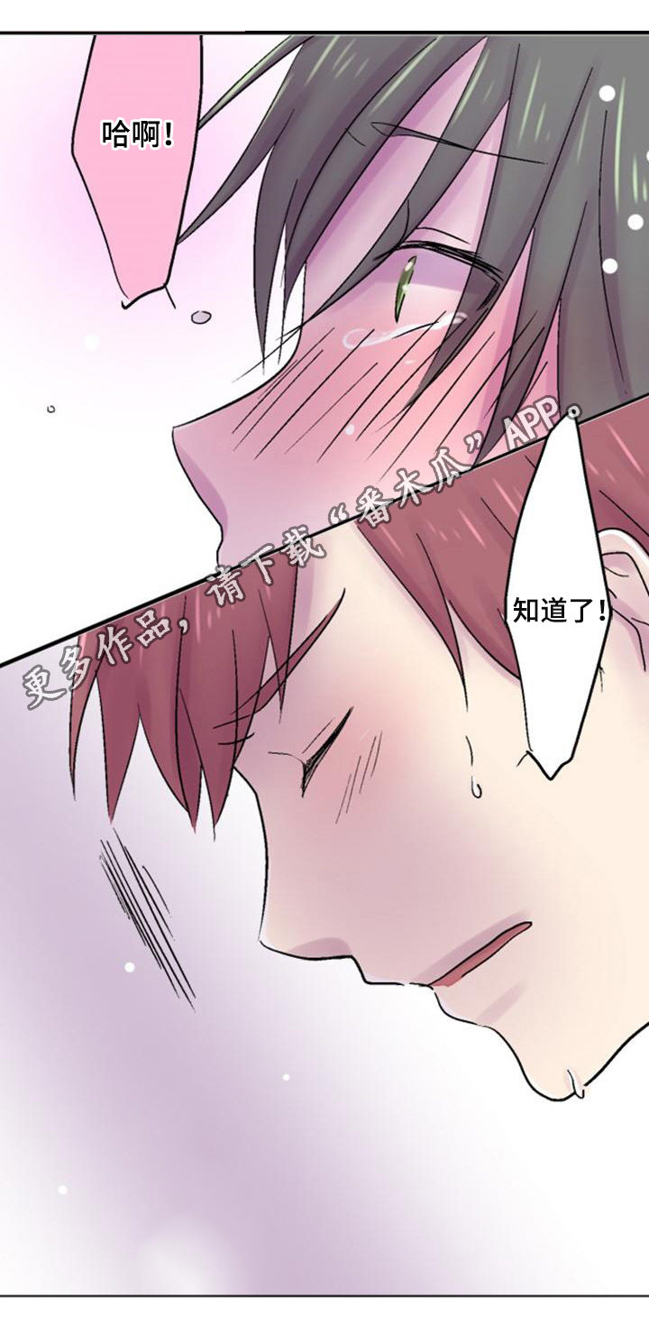 晚点告白漫画,第36章：标准2图