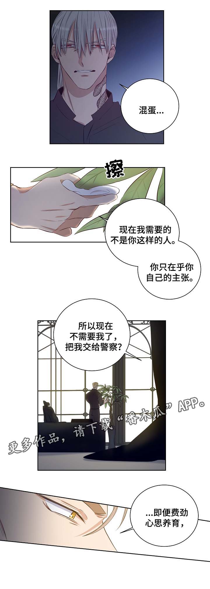 连环圈套漫画,第48章：舍小求大2图