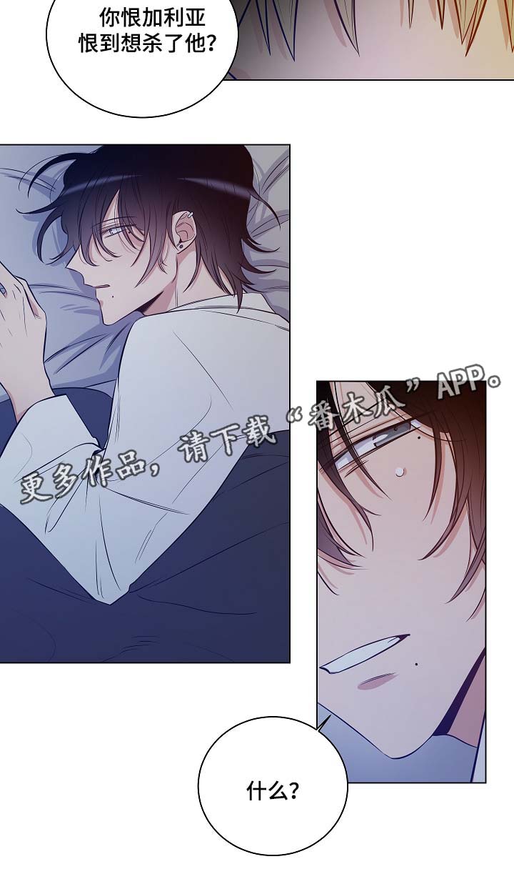 第31章：只是玩具1