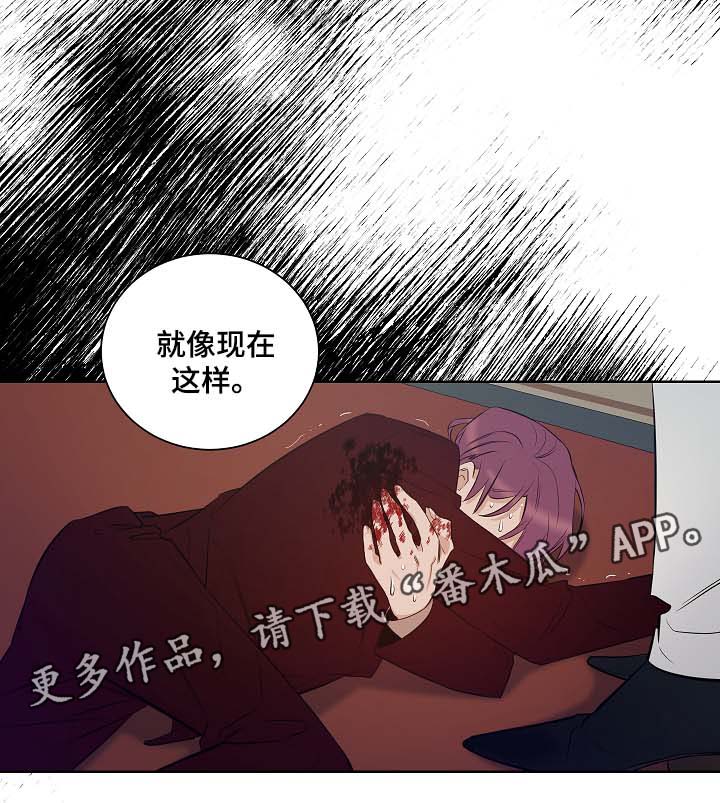 连环圈套漫画,第46章：挡箭牌1图