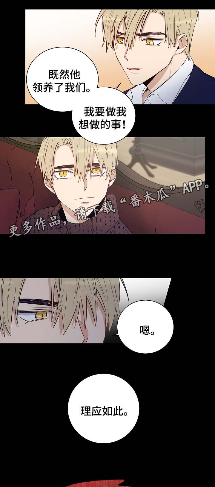 连环圈套漫画,第50章：尘埃落定5图