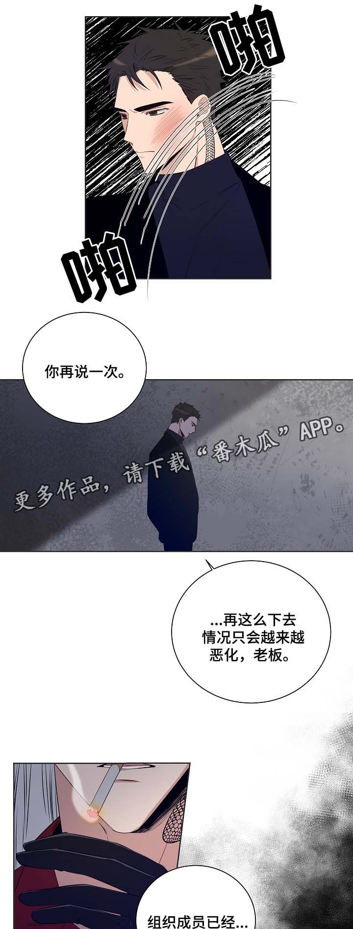 连环圈套漫画,第39章：是时候了1图