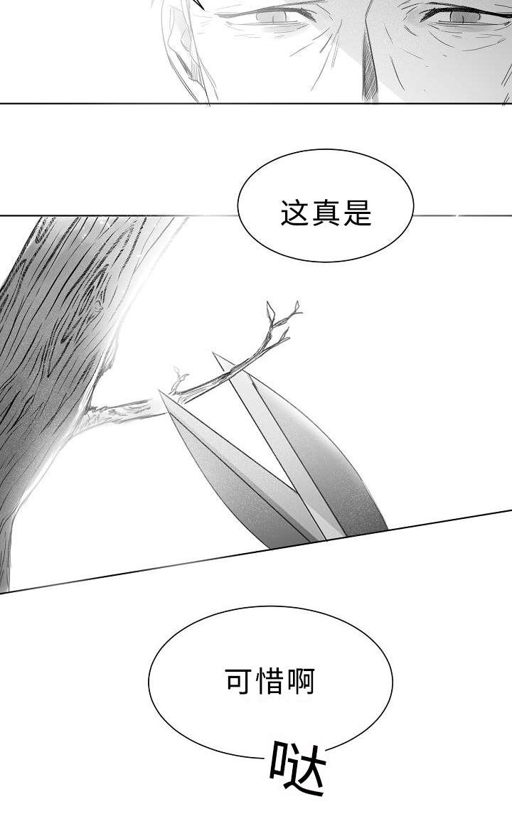 柳云鹤漫画,第11章：护着1图