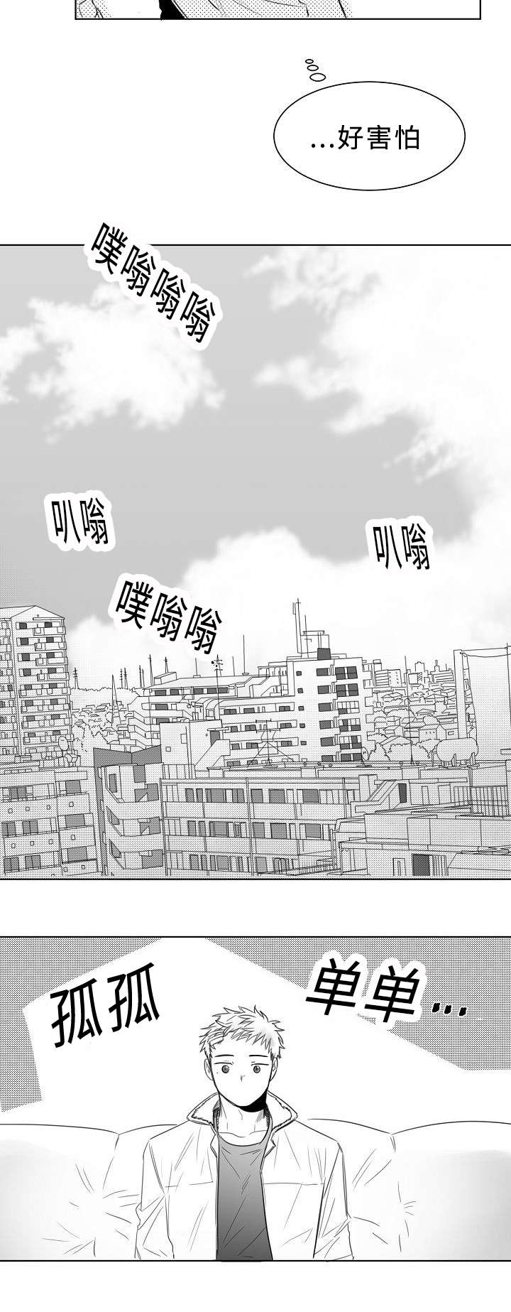 柳云鹤漫画,第7章：报告书3图