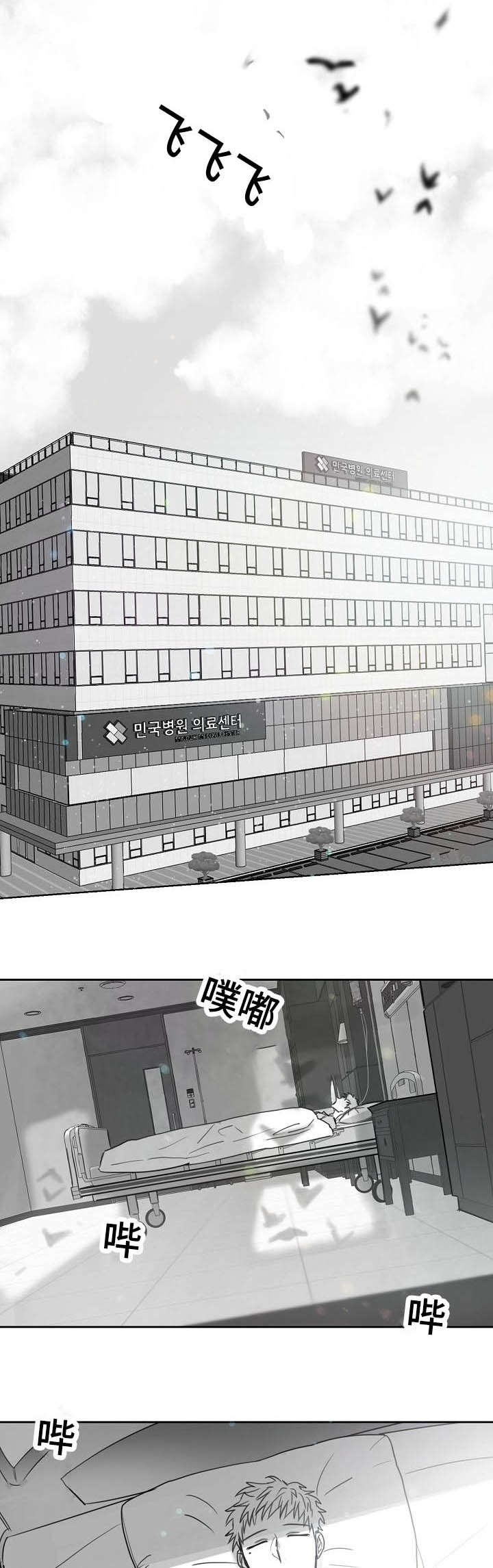 柳云鹤漫画,第46章：加冕为王1图