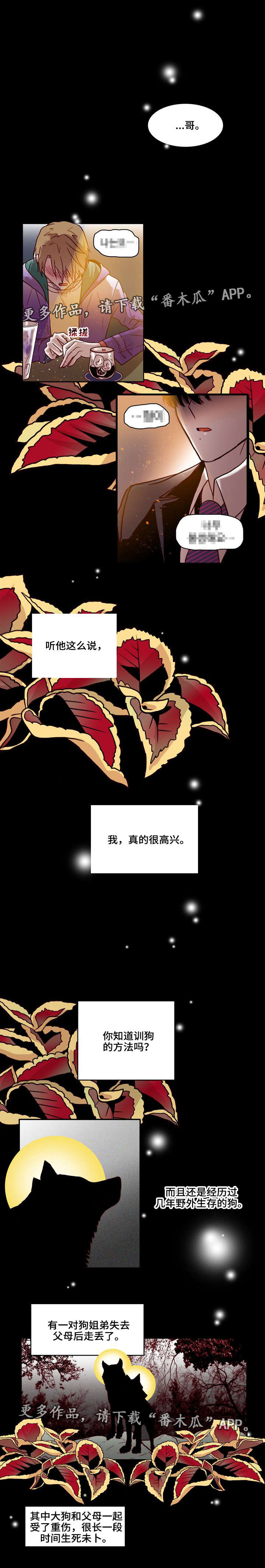 血缘隔阂漫画,第19章：训狗1图