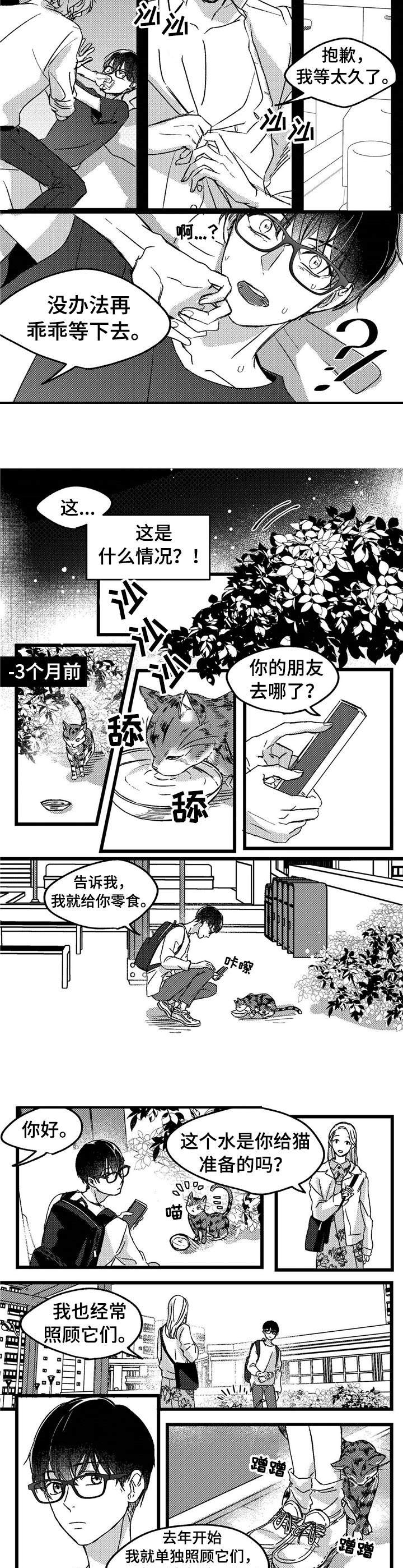 狼与糖果漫画,第1章：小动物3图