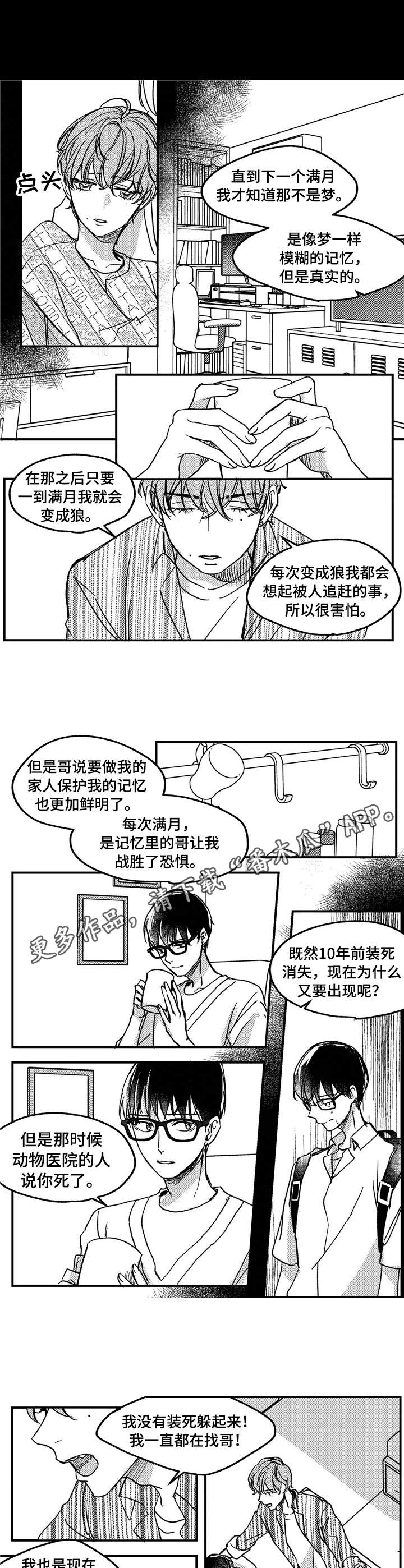 狼与糖果漫画,第11章：不是失误2图