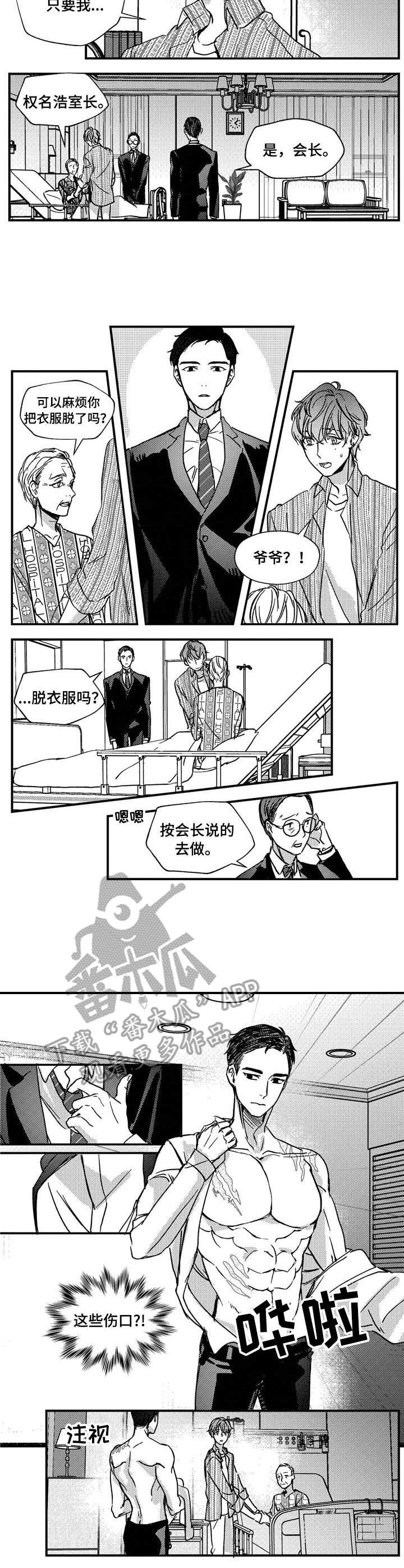 狼与糖果漫画,第13章：伤痕3图