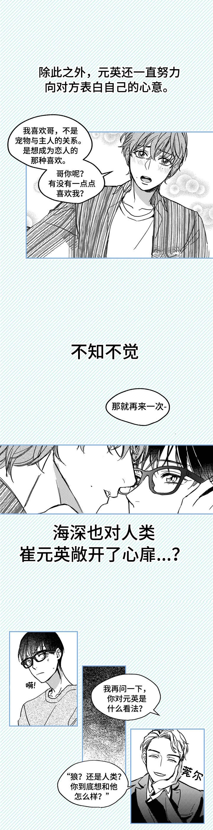 狼与糖果漫画,第1章：小动物5图