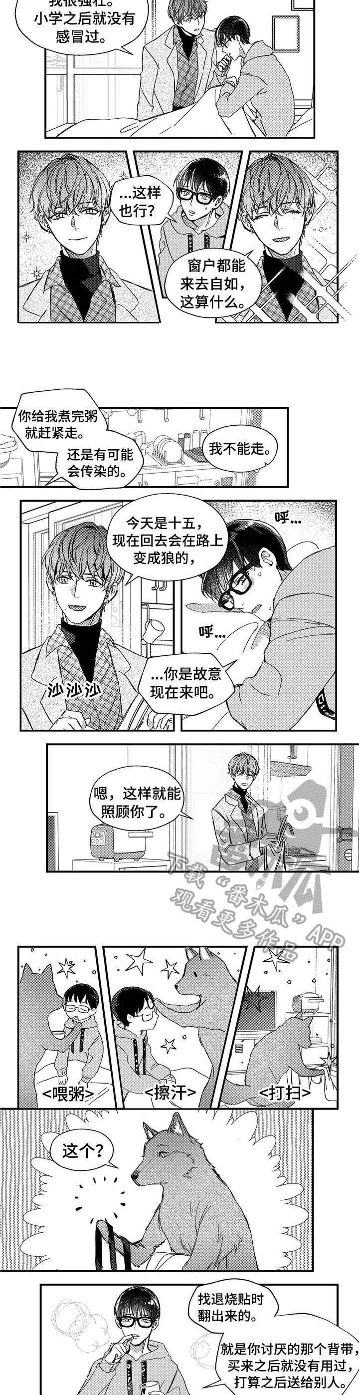 狼与糖果漫画,第23章：背带3图
