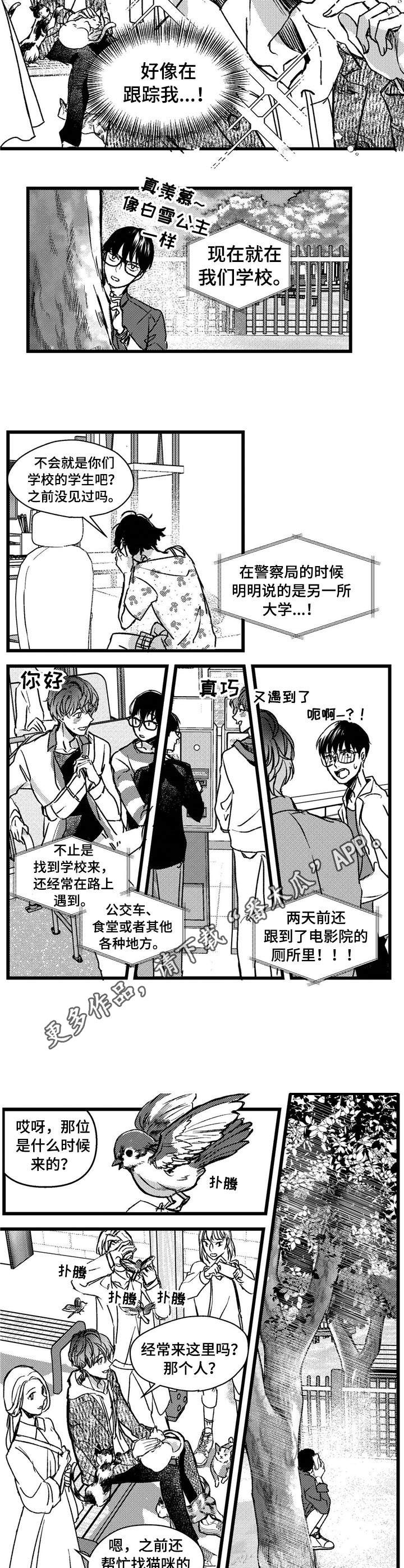 狼与糖果漫画,第3章：跟踪5图