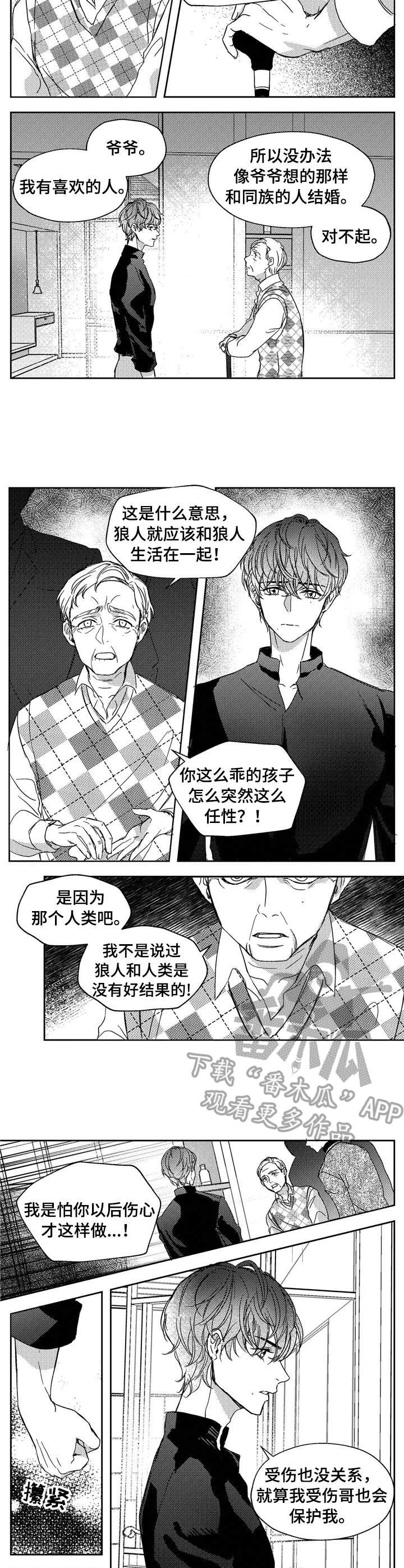 狼与糖果漫画,第19章：辩论5图