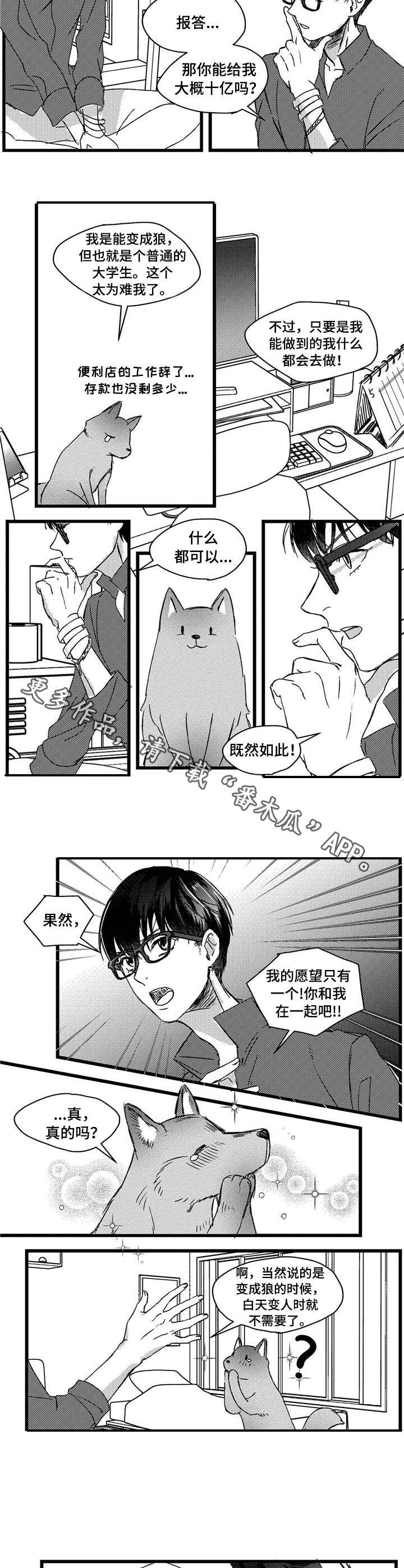 狼与糖果漫画,第4章：狼人2图