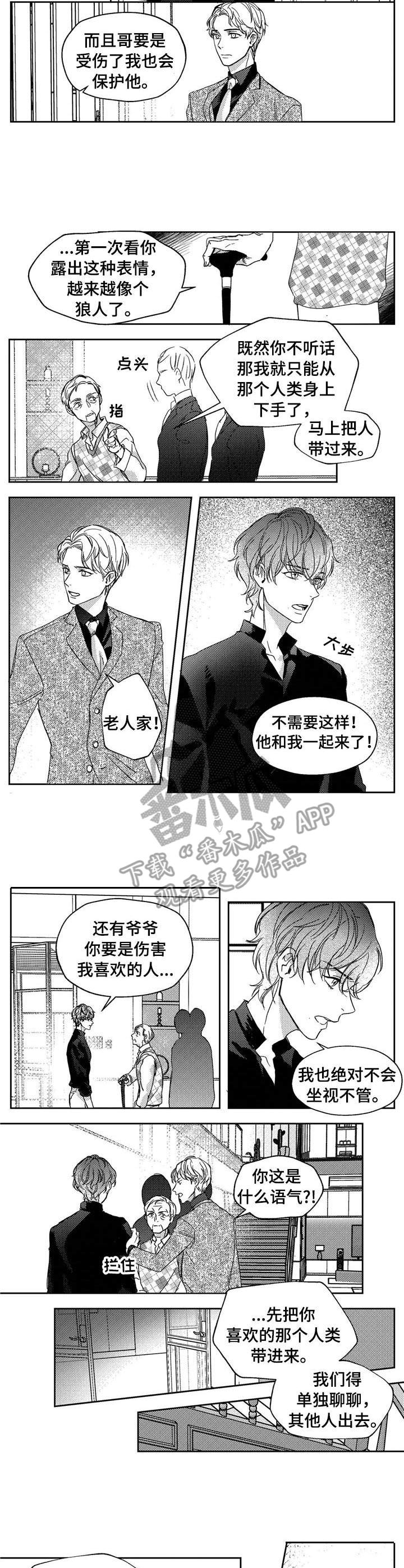 狼与糖果漫画,第19章：辩论1图