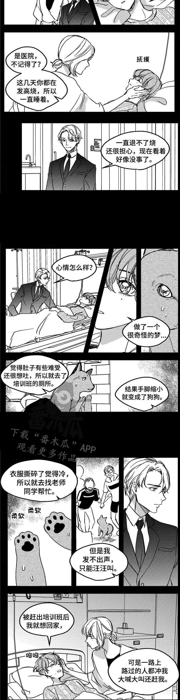 狼与糖果漫画,第11章：不是失误5图