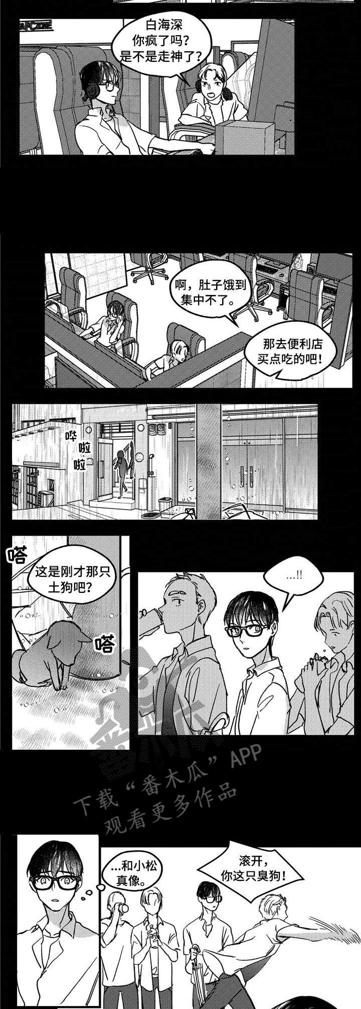 狼与糖果漫画,第9章：流浪狗3图