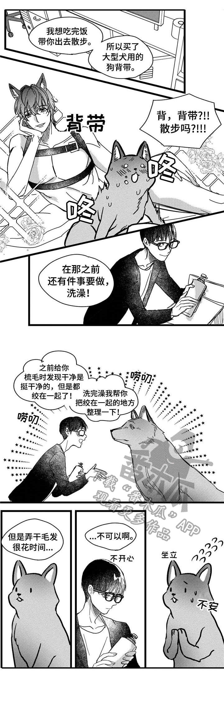 狼与糖果漫画,第5章：洗一洗5图
