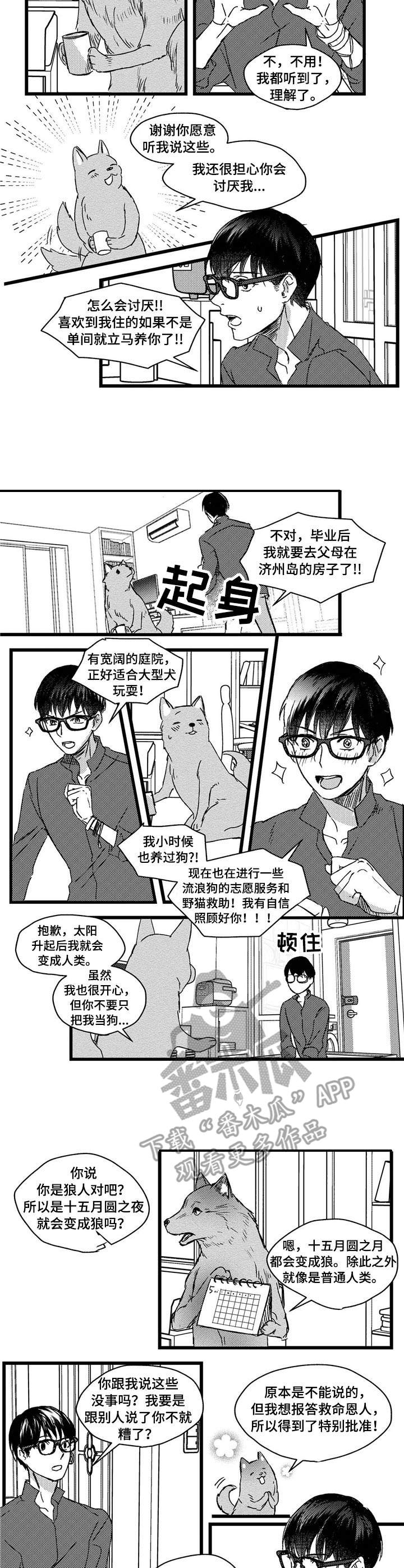 狼与糖果漫画,第4章：狼人1图