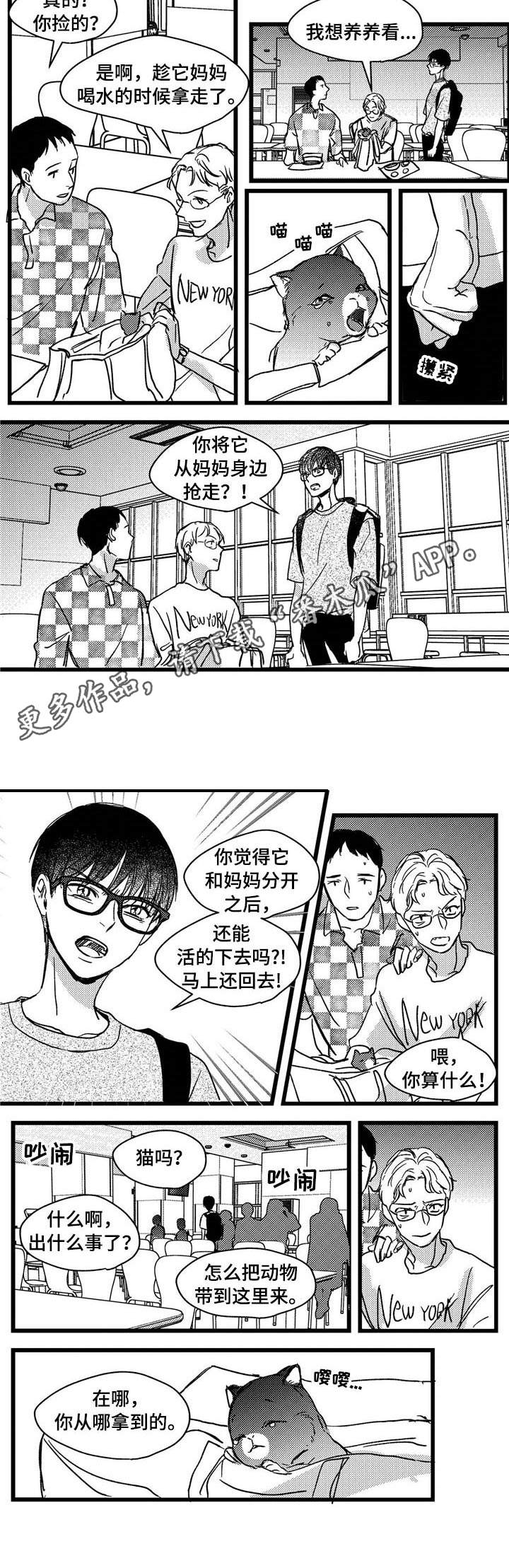 狼与糖果漫画,第7章：小猫2图