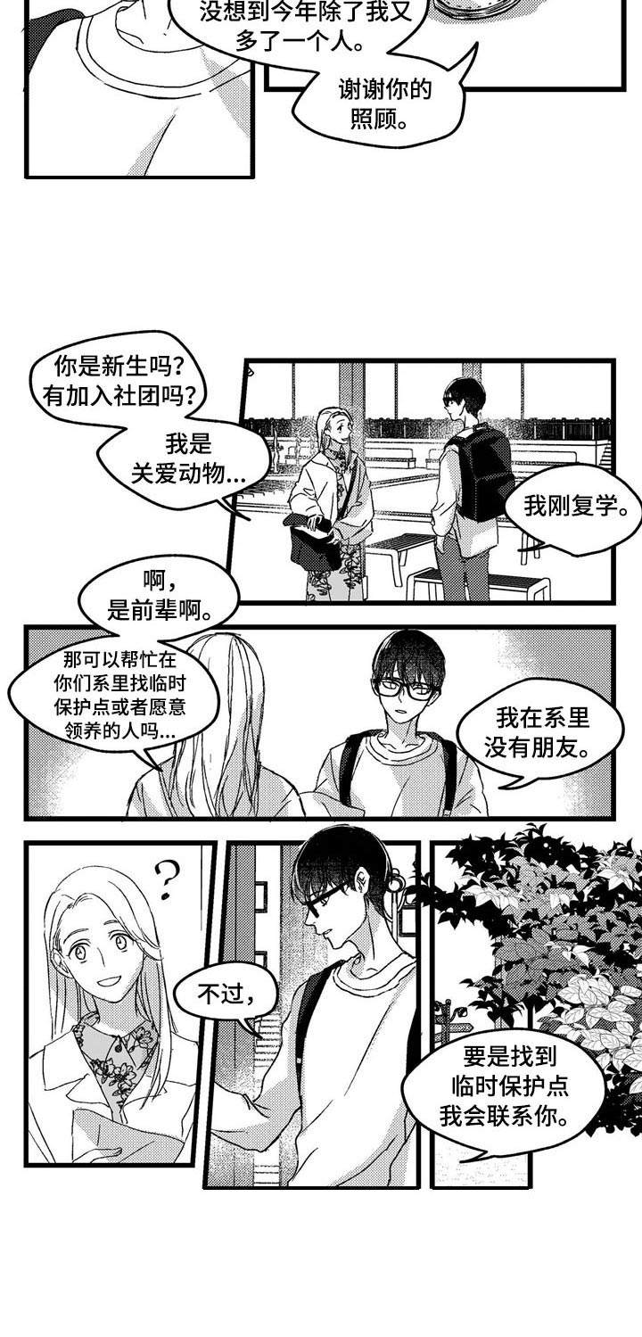 狼与糖果漫画,第1章：小动物4图