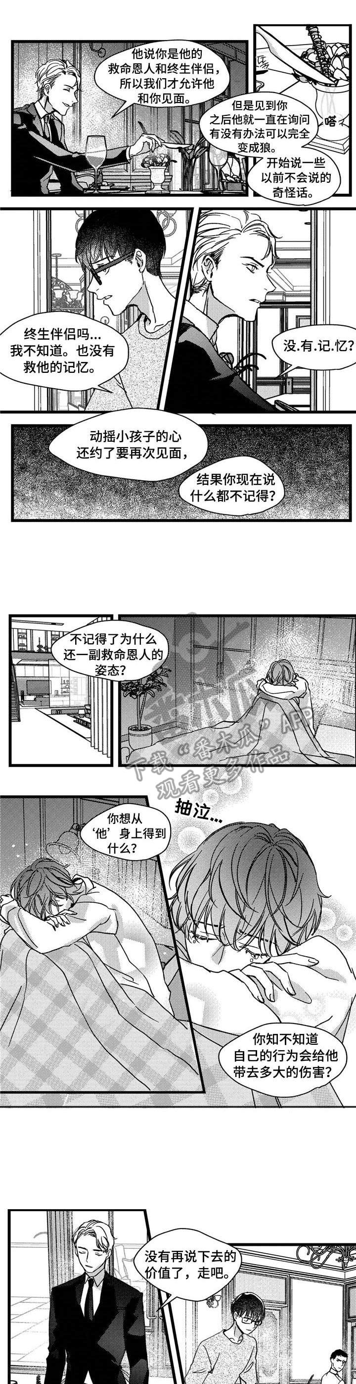 狼与糖果漫画,第8章：警告3图