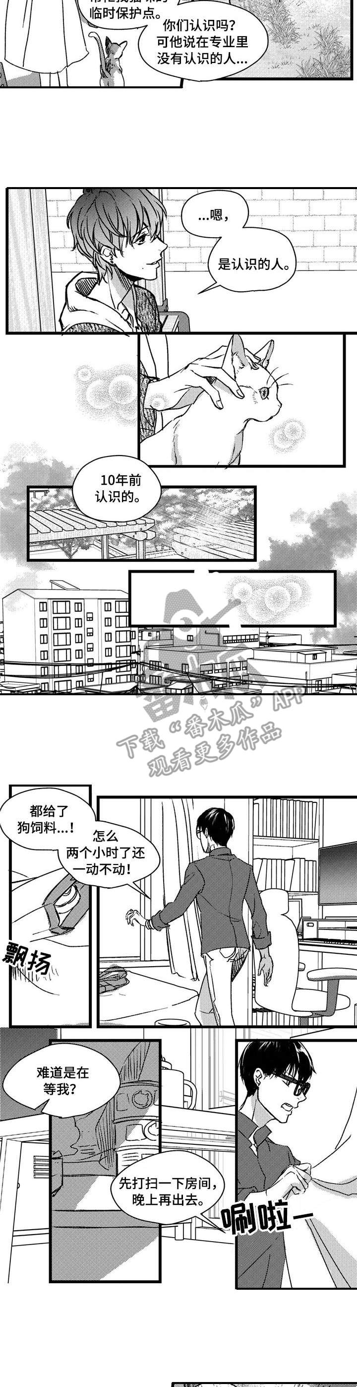 狼与糖果漫画,第3章：跟踪1图