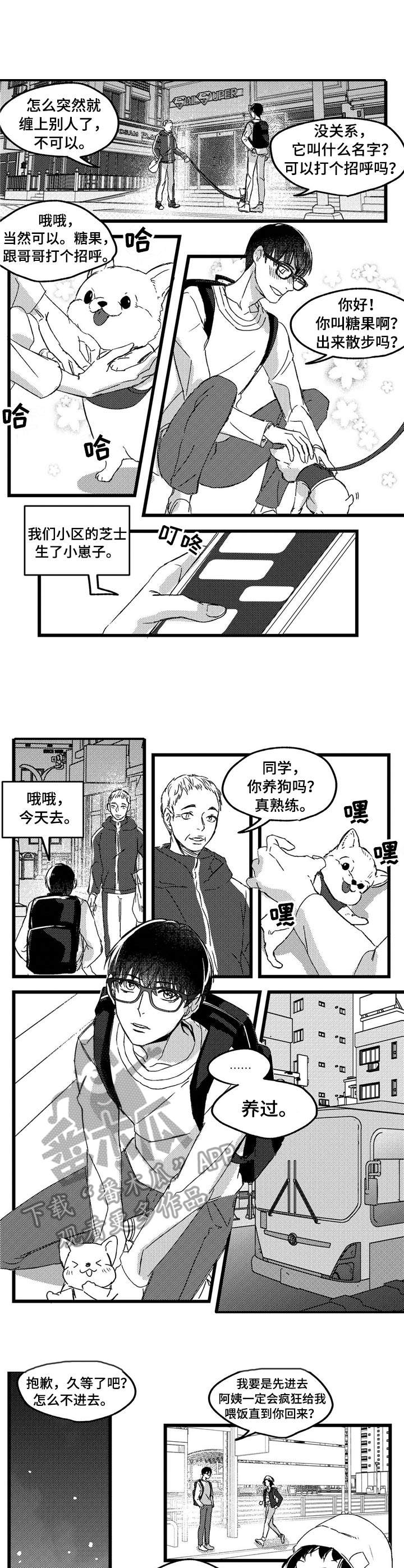 狼与糖果漫画,第2章：举止怪异2图